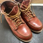 レッドウィング 8875 アイリッシュセッター お手入れ カビ落し 色落ちカバー