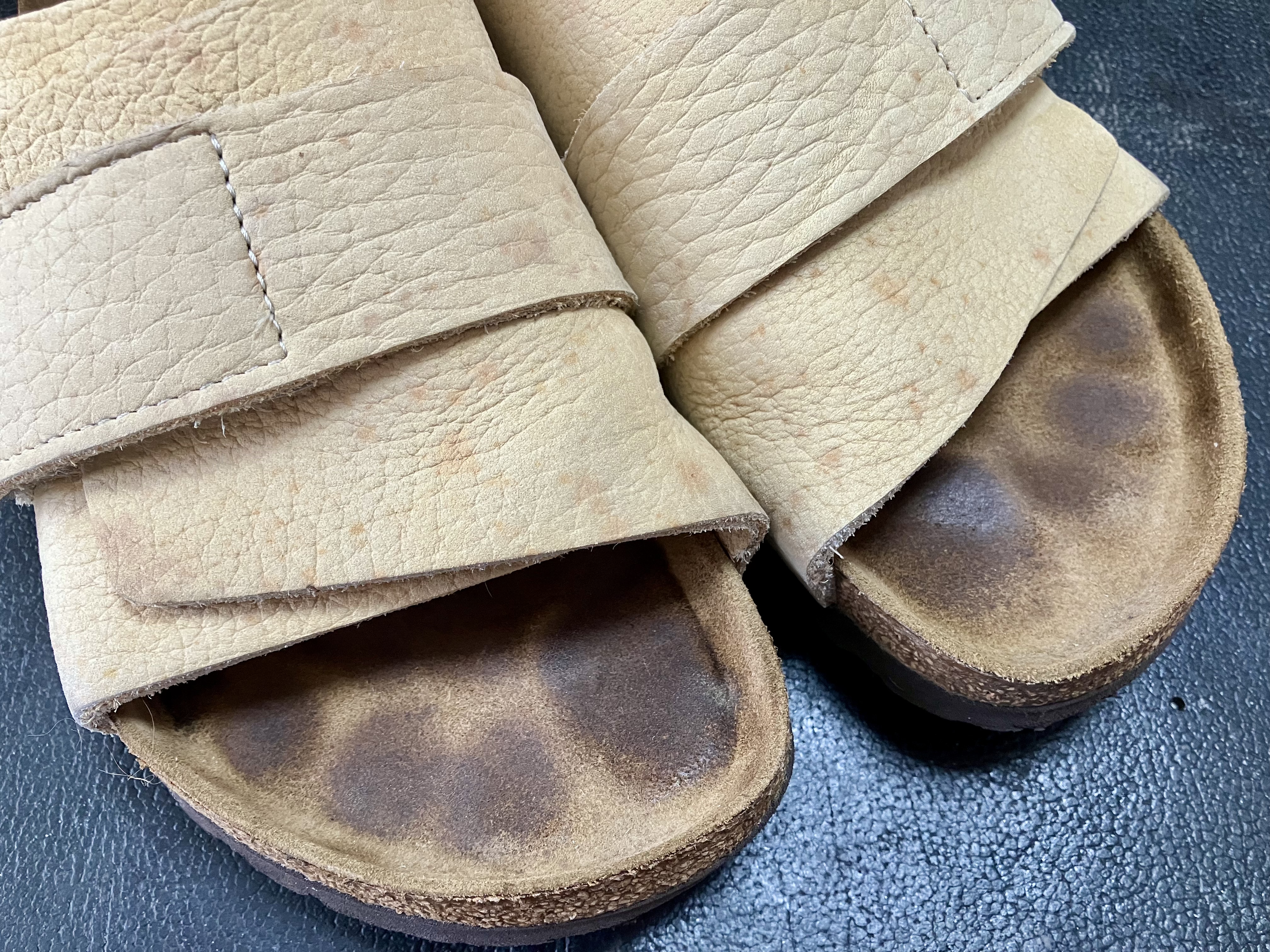 ヌバック カビ クリーニング