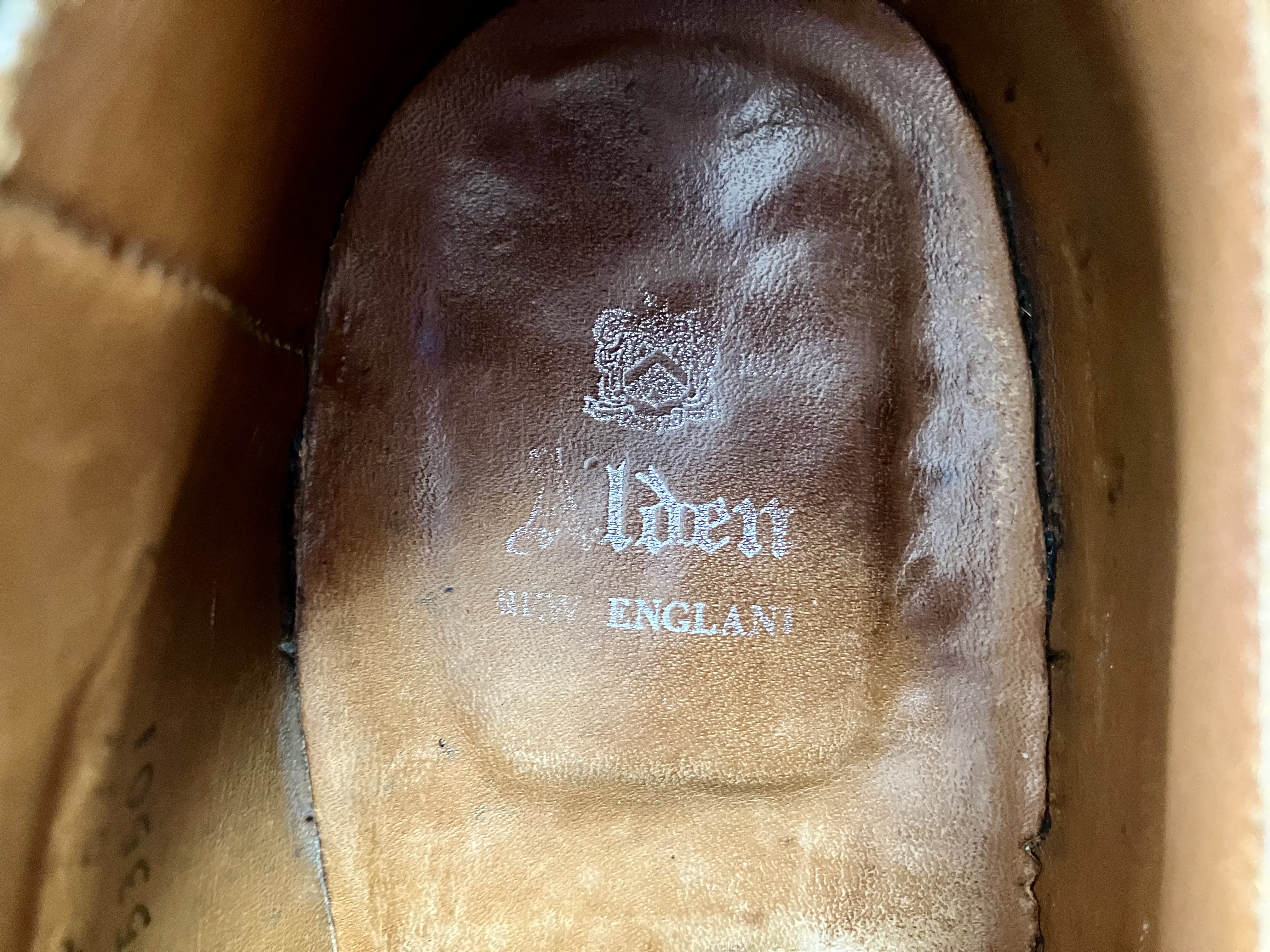 オールデン　＃53501　コードバン