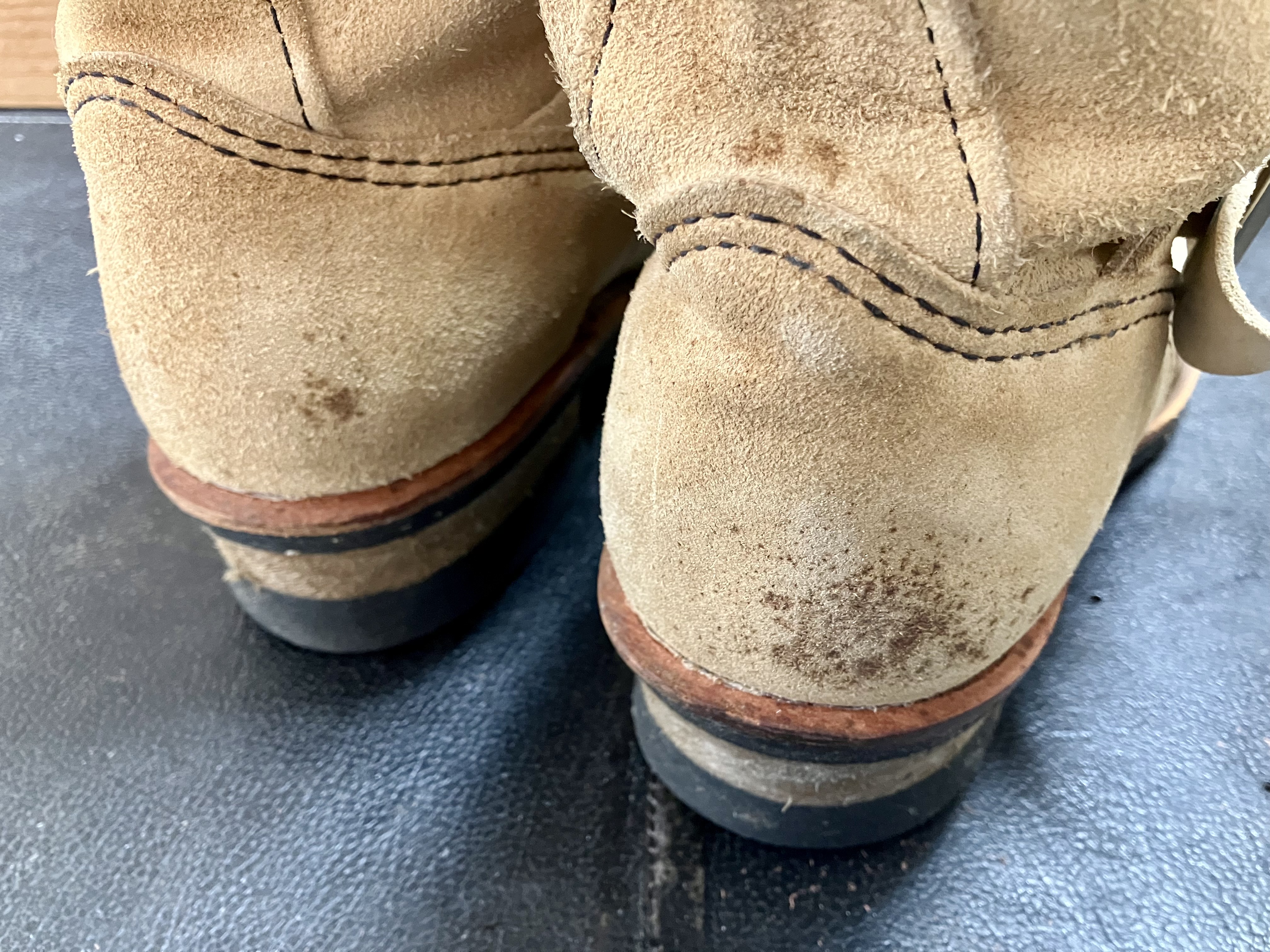 スエード　ラフアウトレザーのカビ