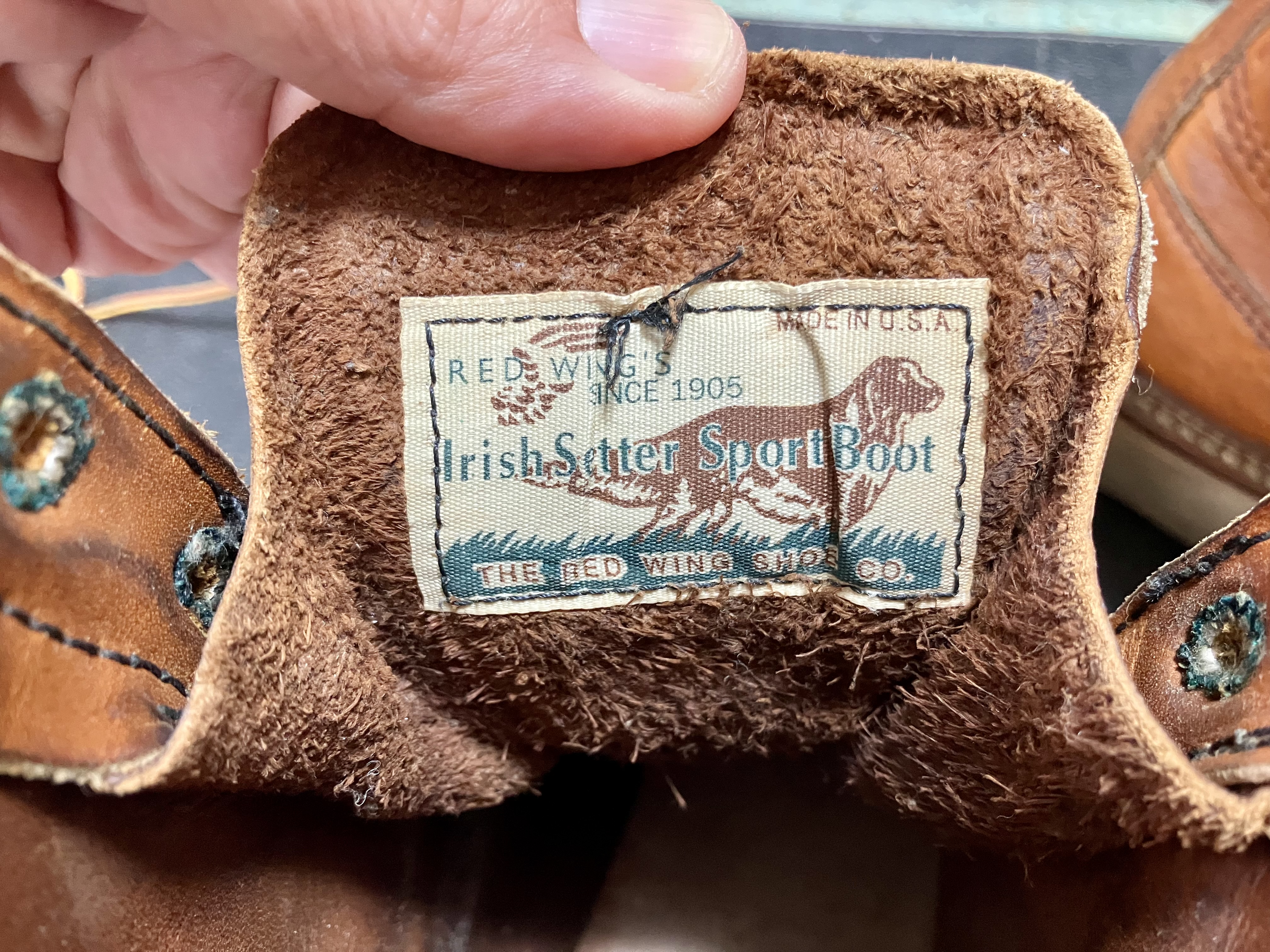 アイリッシュセッターのタグ